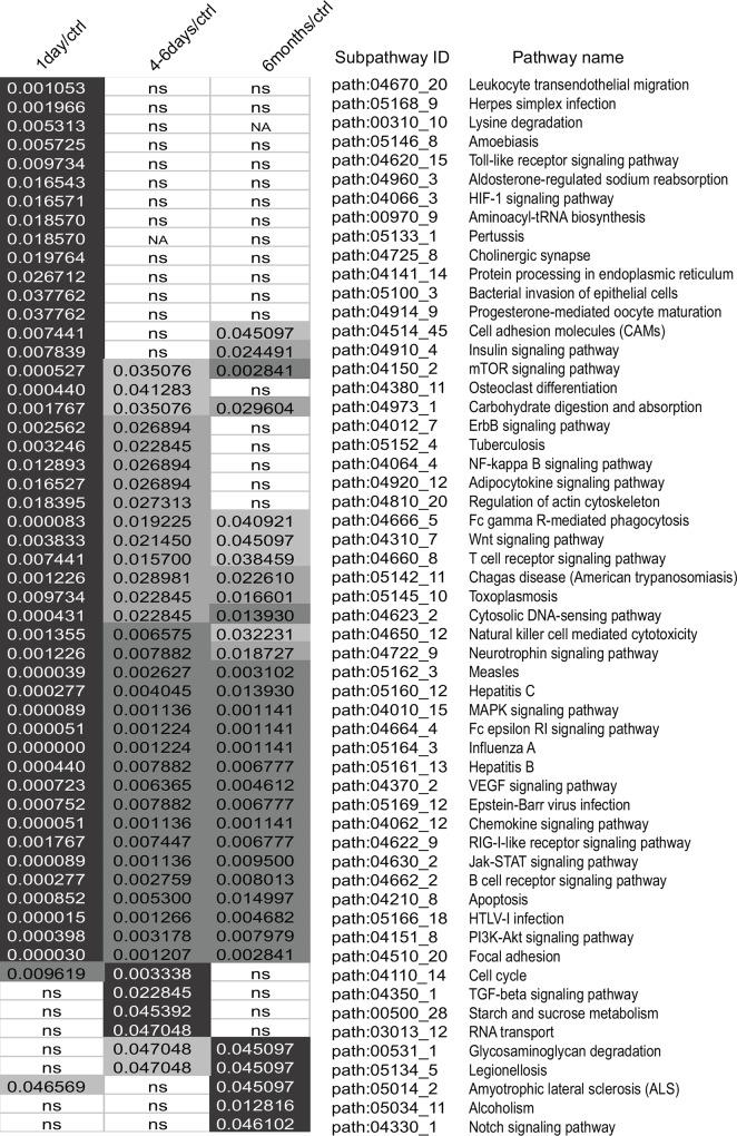 https://cdn.ncbi.nlm.nih.gov/pmc/blobs/1f2b/4930172/8c28cb30c93a/pone.0158638.g003.jpg