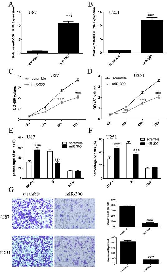 https://cdn.ncbi.nlm.nih.gov/pmc/blobs/1f2b/5095018/4f05496effb5/oncotarget-07-36529-g003.jpg