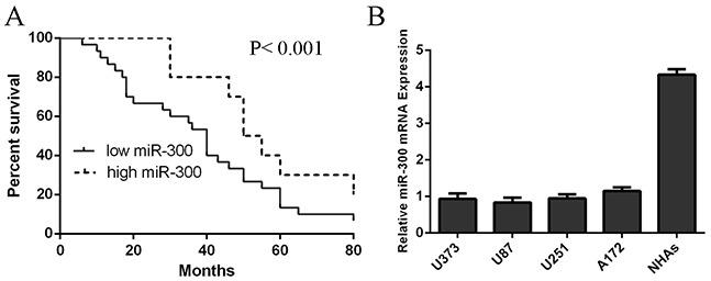 https://cdn.ncbi.nlm.nih.gov/pmc/blobs/1f2b/5095018/778e7d2a1246/oncotarget-07-36529-g002.jpg