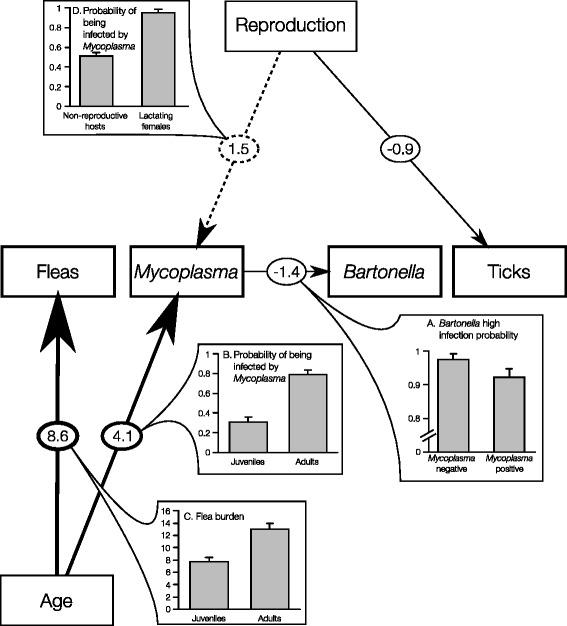 https://cdn.ncbi.nlm.nih.gov/pmc/blobs/1f2e/4545369/ab013b446e46/13071_2015_1029_Fig1_HTML.jpg