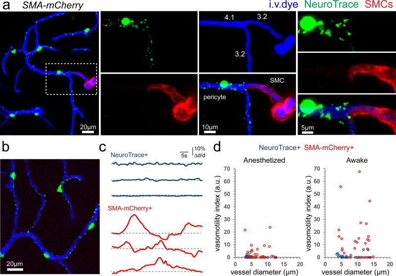 https://cdn.ncbi.nlm.nih.gov/pmc/blobs/1f2e/5550770/83499a6640b4/nihms869896f6.jpg