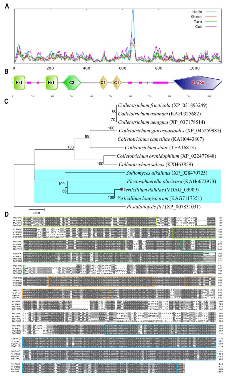 https://cdn.ncbi.nlm.nih.gov/pmc/blobs/1f31/10531995/1d0fda86c28e/ijms-24-14266-g001.jpg