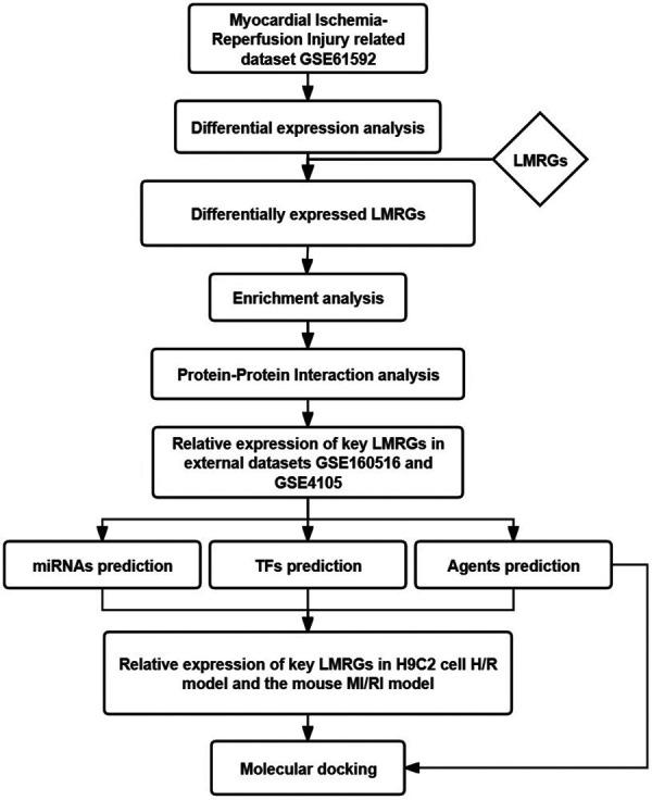 https://cdn.ncbi.nlm.nih.gov/pmc/blobs/1f31/10859419/5e9b76d97c50/fcvm-11-1281429-g001.jpg