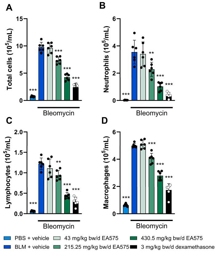https://cdn.ncbi.nlm.nih.gov/pmc/blobs/1f33/12292205/538f0c96e6cc/biomedicines-13-01673-g002.jpg