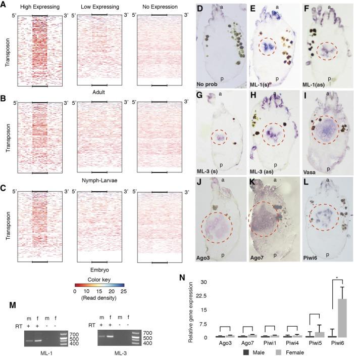 https://cdn.ncbi.nlm.nih.gov/pmc/blobs/1f35/6004056/895b5f4e05b1/899f03.jpg