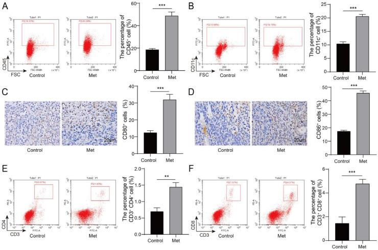 https://cdn.ncbi.nlm.nih.gov/pmc/blobs/1f36/11292496/1c432ad09cc2/gr5.jpg
