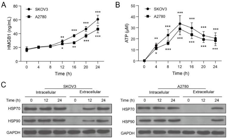 https://cdn.ncbi.nlm.nih.gov/pmc/blobs/1f36/11292496/428d57faed26/gr2.jpg