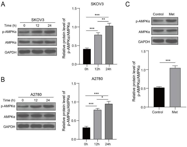 https://cdn.ncbi.nlm.nih.gov/pmc/blobs/1f36/11292496/c73bf3d87664/gr6.jpg