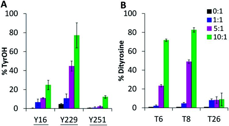 https://cdn.ncbi.nlm.nih.gov/pmc/blobs/1f37/5369544/879eb6af0806/c6sc03125k-f5.jpg