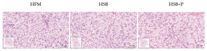 https://cdn.ncbi.nlm.nih.gov/pmc/blobs/1f37/9774277/3e34afac9be2/antioxidants-11-02415-g002.jpg