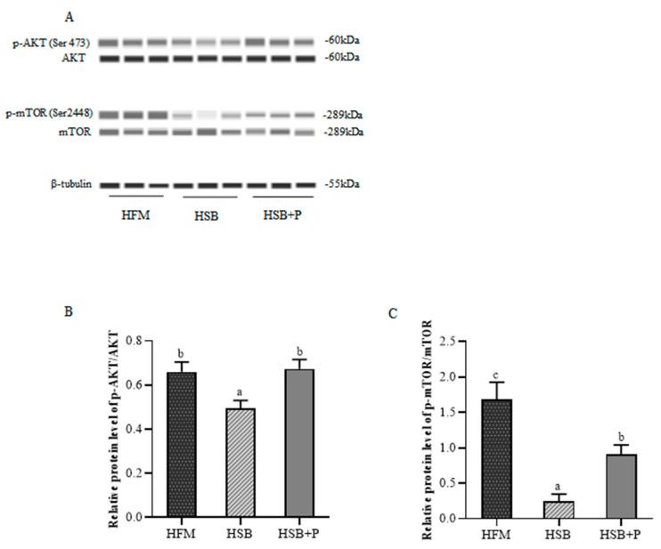https://cdn.ncbi.nlm.nih.gov/pmc/blobs/1f37/9774277/4bf5dd25aea9/antioxidants-11-02415-g003.jpg