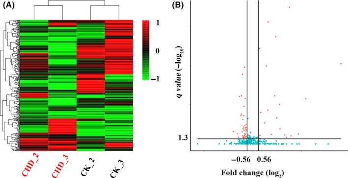 https://cdn.ncbi.nlm.nih.gov/pmc/blobs/1f39/7294166/56e5c2b9b8b6/JCMM-24-5984-g002.jpg