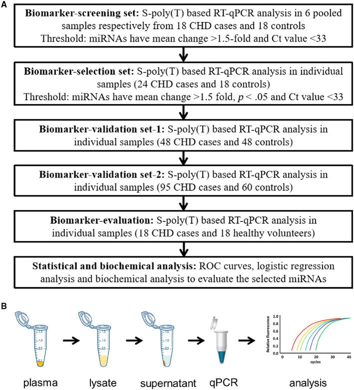 https://cdn.ncbi.nlm.nih.gov/pmc/blobs/1f39/7294166/950ca6990c63/JCMM-24-5984-g001.jpg
