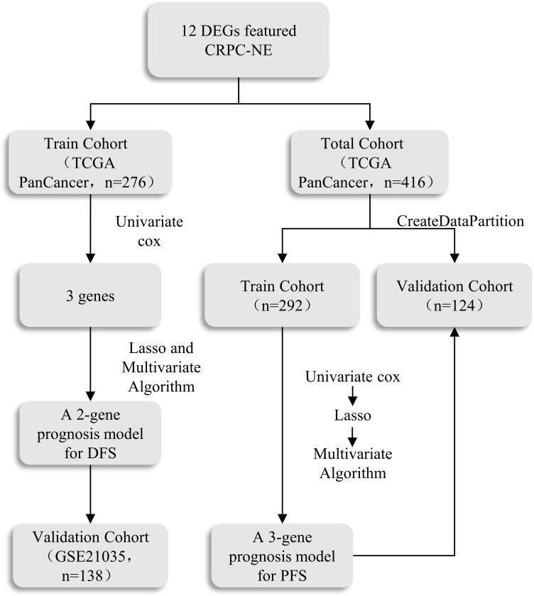 https://cdn.ncbi.nlm.nih.gov/pmc/blobs/1f39/9849576/2aefb45cc9cb/fendo-13-1005916-g002.jpg