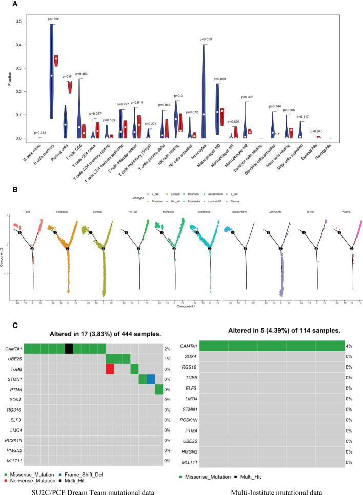https://cdn.ncbi.nlm.nih.gov/pmc/blobs/1f39/9849576/d34873d25174/fendo-13-1005916-g008.jpg