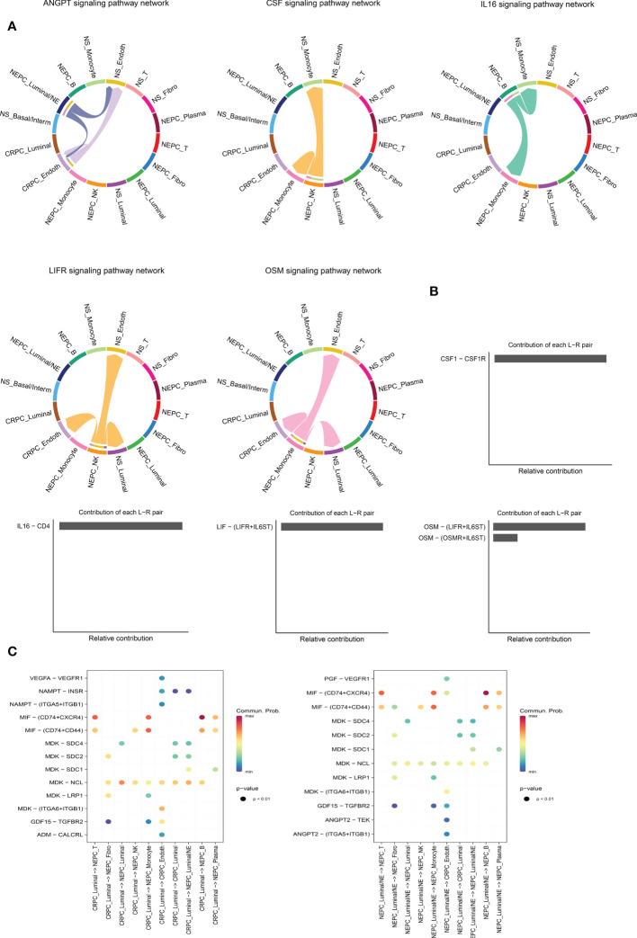 https://cdn.ncbi.nlm.nih.gov/pmc/blobs/1f39/9849576/eb27bd8c4bba/fendo-13-1005916-g006.jpg