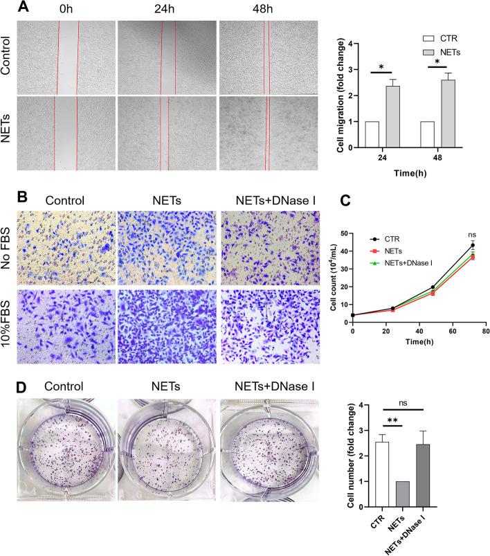 https://cdn.ncbi.nlm.nih.gov/pmc/blobs/1f3f/10152773/268459f51738/12964_2023_1112_Fig7_HTML.jpg