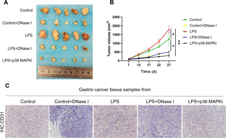 https://cdn.ncbi.nlm.nih.gov/pmc/blobs/1f3f/10152773/a68ce97fba9e/12964_2023_1112_Fig8_HTML.jpg