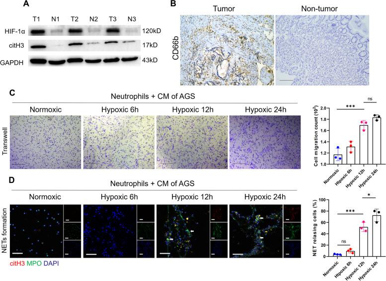 https://cdn.ncbi.nlm.nih.gov/pmc/blobs/1f3f/10152773/f0ea012f05d0/12964_2023_1112_Fig2_HTML.jpg