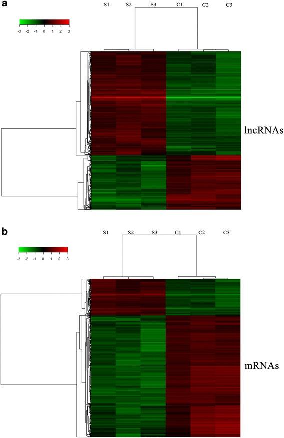 https://cdn.ncbi.nlm.nih.gov/pmc/blobs/1f40/5521104/94c13b6e0ee5/12957_2017_1194_Fig1_HTML.jpg
