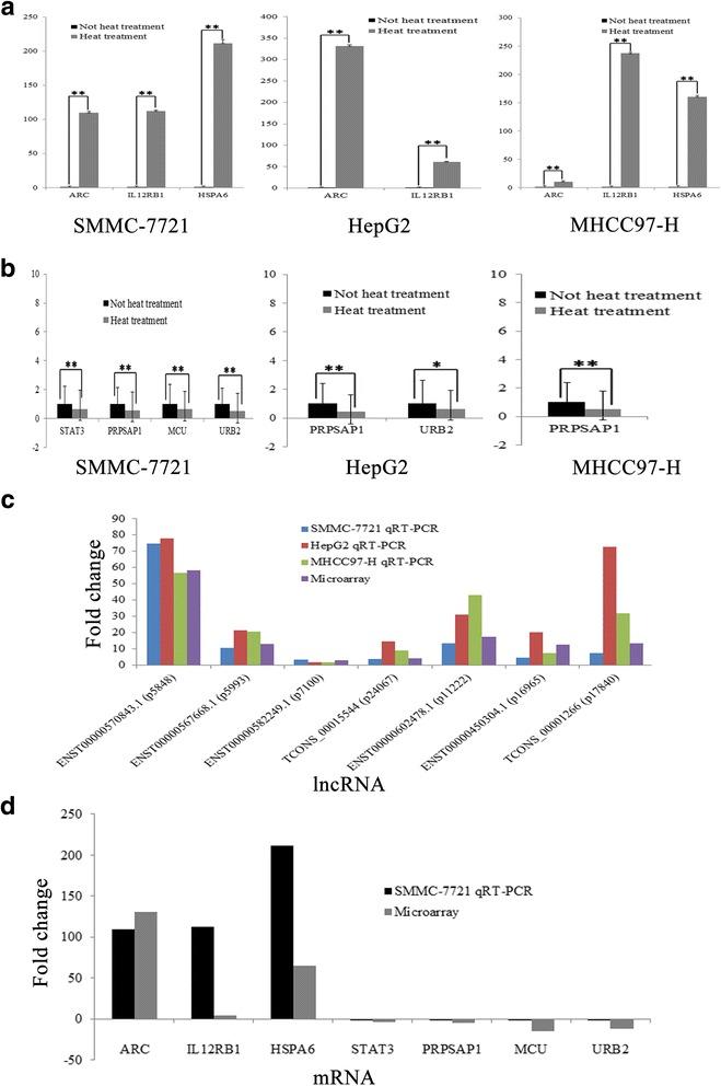 https://cdn.ncbi.nlm.nih.gov/pmc/blobs/1f40/5521104/abad37a766b4/12957_2017_1194_Fig5_HTML.jpg