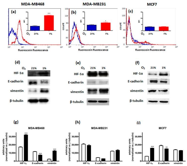 https://cdn.ncbi.nlm.nih.gov/pmc/blobs/1f40/9689492/a34726ad4924/cimb-44-00359-g001.jpg