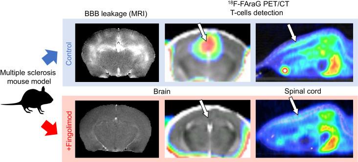 https://cdn.ncbi.nlm.nih.gov/pmc/blobs/1f41/8717198/1c6c6e7f2404/jnumed.120.259325absf1.jpg