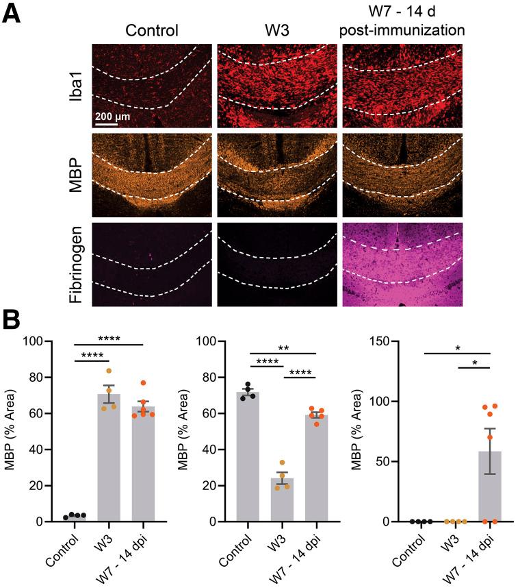 https://cdn.ncbi.nlm.nih.gov/pmc/blobs/1f41/8717198/2261dd120143/jnumed.120.259325f3.jpg