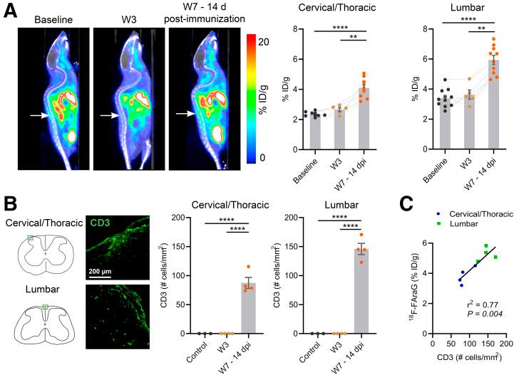 https://cdn.ncbi.nlm.nih.gov/pmc/blobs/1f41/8717198/d4d16767e330/jnumed.120.259325f4.jpg