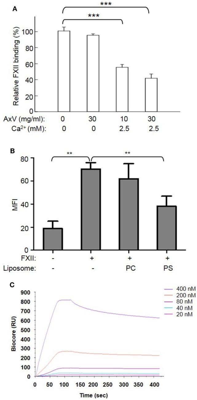 https://cdn.ncbi.nlm.nih.gov/pmc/blobs/1f42/5622377/747fb26a5383/fimmu-08-01188-g002.jpg