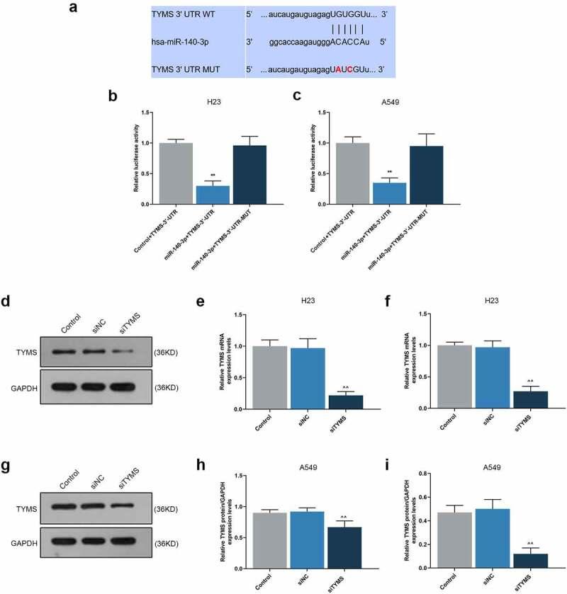https://cdn.ncbi.nlm.nih.gov/pmc/blobs/1f42/8810165/4f0cf6a6c4c1/KBIE_A_2009422_F0005_OC.jpg