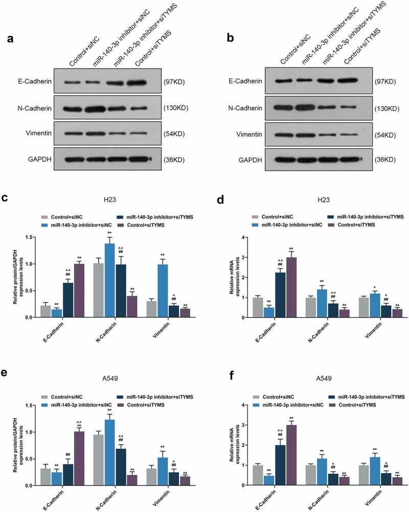 https://cdn.ncbi.nlm.nih.gov/pmc/blobs/1f42/8810165/f5810382893b/KBIE_A_2009422_F0009_OC.jpg