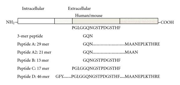 https://cdn.ncbi.nlm.nih.gov/pmc/blobs/1f47/3228289/3b7d2eca1db8/JBB2012-675317.001.jpg