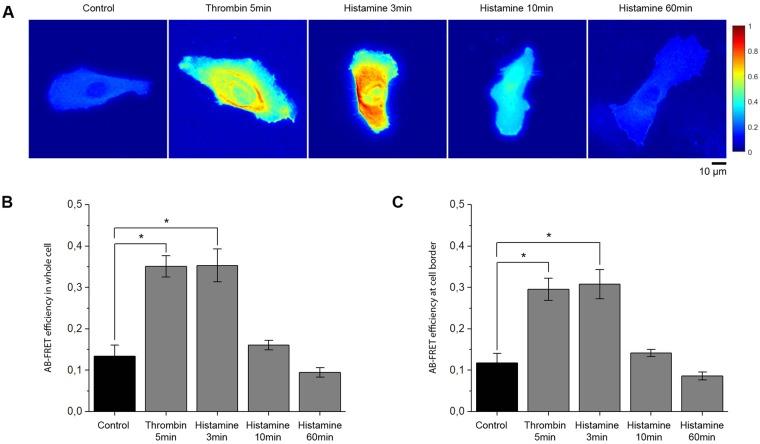 https://cdn.ncbi.nlm.nih.gov/pmc/blobs/1f48/6125323/78f5a5633ed3/41598_2018_31408_Fig4_HTML.jpg