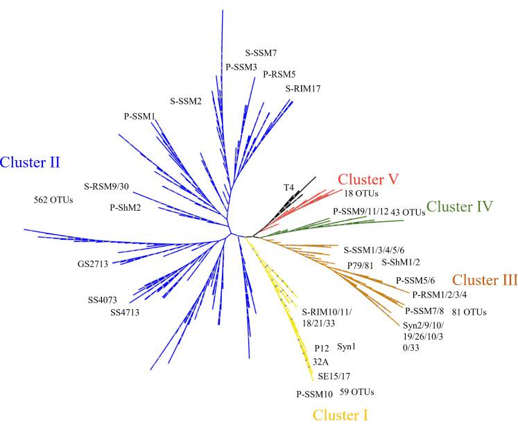 https://cdn.ncbi.nlm.nih.gov/pmc/blobs/1f49/10846272/431e874b2389/spectrum.02002-23.f003.jpg
