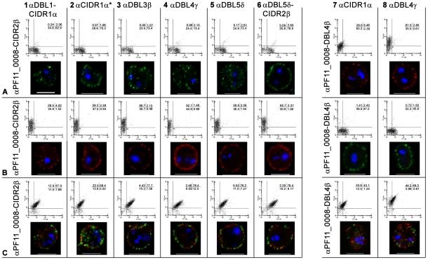 https://cdn.ncbi.nlm.nih.gov/pmc/blobs/1f49/2932717/83e094a6a4b4/ppat.1001083.g002.jpg
