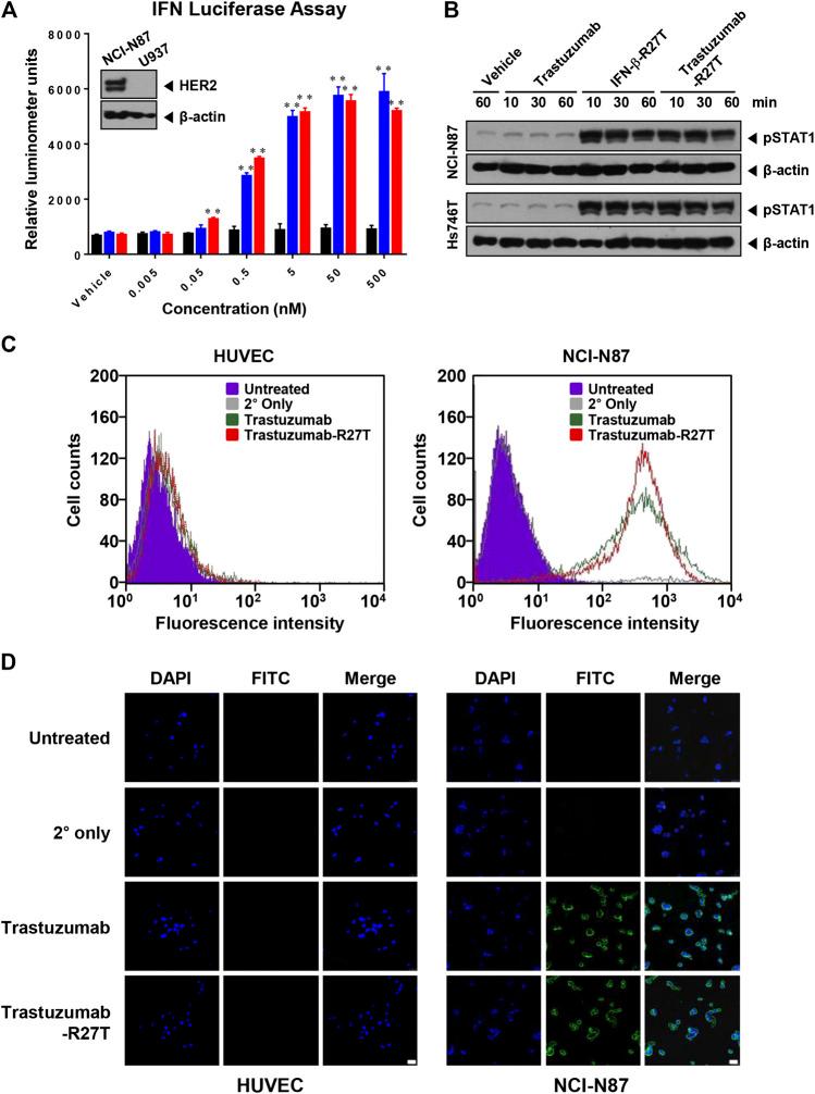https://cdn.ncbi.nlm.nih.gov/pmc/blobs/1f49/7832035/598b823865ad/fphar-11-608774-g002.jpg