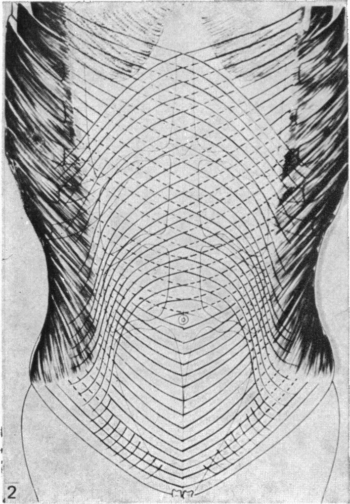 https://cdn.ncbi.nlm.nih.gov/pmc/blobs/1f4e/1233240/4405befb05f2/janat00231-0006-a.jpg