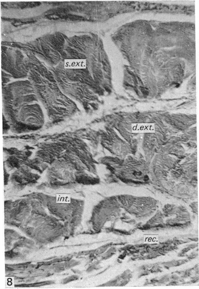 https://cdn.ncbi.nlm.nih.gov/pmc/blobs/1f4e/1233240/46e8563e83d3/janat00231-0008-c.jpg