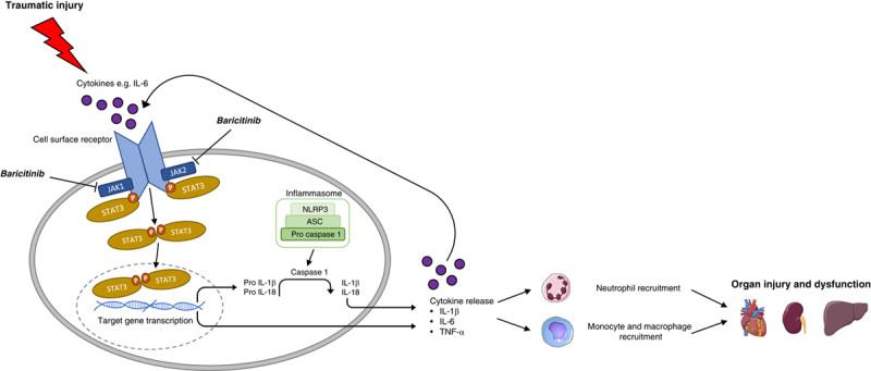 https://cdn.ncbi.nlm.nih.gov/pmc/blobs/1f50/10249600/14bea887a7d3/sla-278-e137-g006.jpg