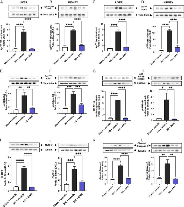 https://cdn.ncbi.nlm.nih.gov/pmc/blobs/1f50/10249600/910c648dc658/sla-278-e137-g003.jpg