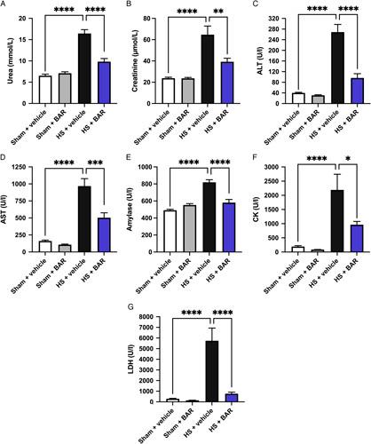 https://cdn.ncbi.nlm.nih.gov/pmc/blobs/1f50/10249600/f358eb977ecc/sla-278-e137-g002.jpg