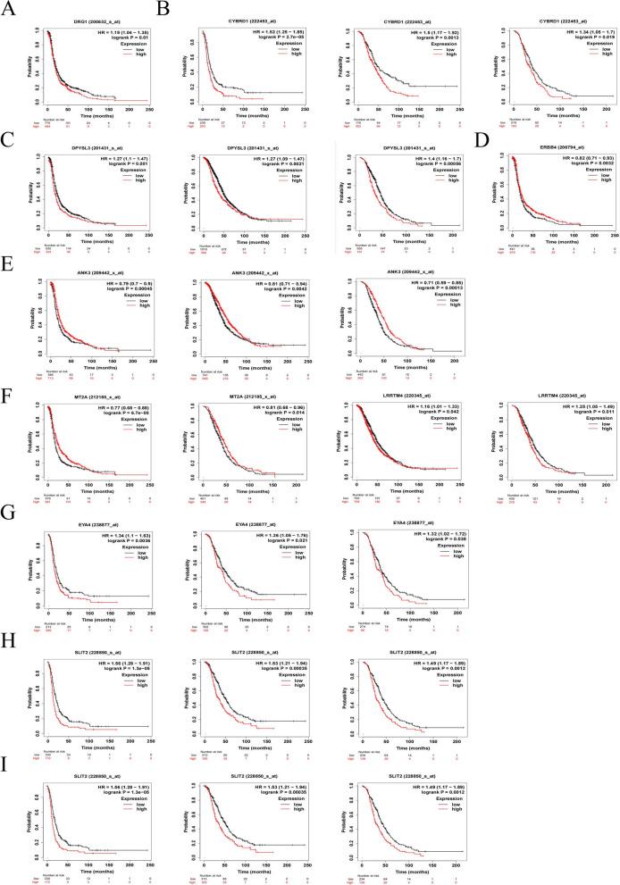 https://cdn.ncbi.nlm.nih.gov/pmc/blobs/1f51/11234624/4368ddec434c/13048_2024_1461_Fig3_HTML.jpg