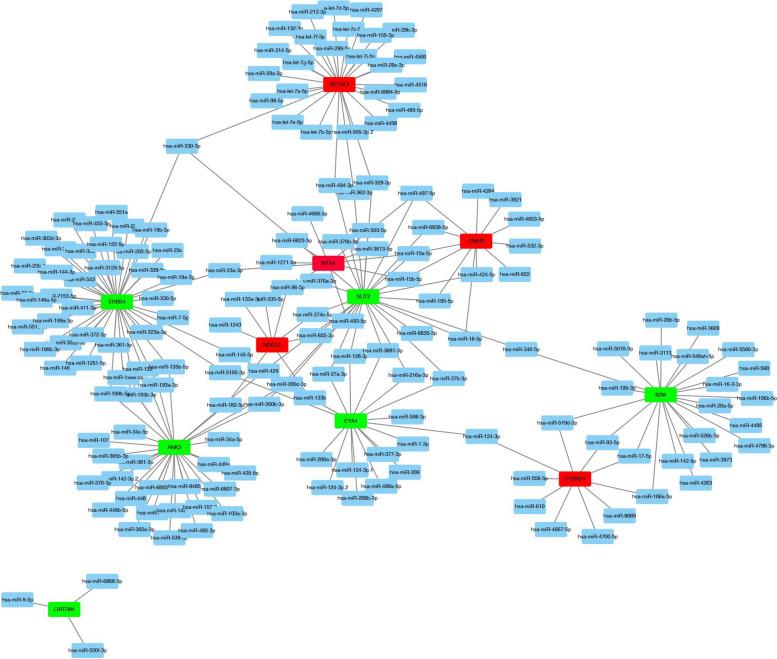 https://cdn.ncbi.nlm.nih.gov/pmc/blobs/1f51/11234624/5c09d9144393/13048_2024_1461_Fig5_HTML.jpg