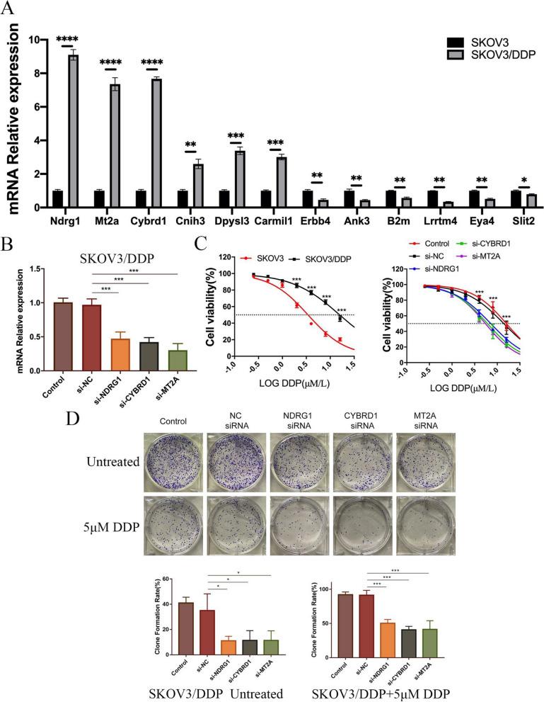 https://cdn.ncbi.nlm.nih.gov/pmc/blobs/1f51/11234624/9fb913061cd8/13048_2024_1461_Fig6_HTML.jpg