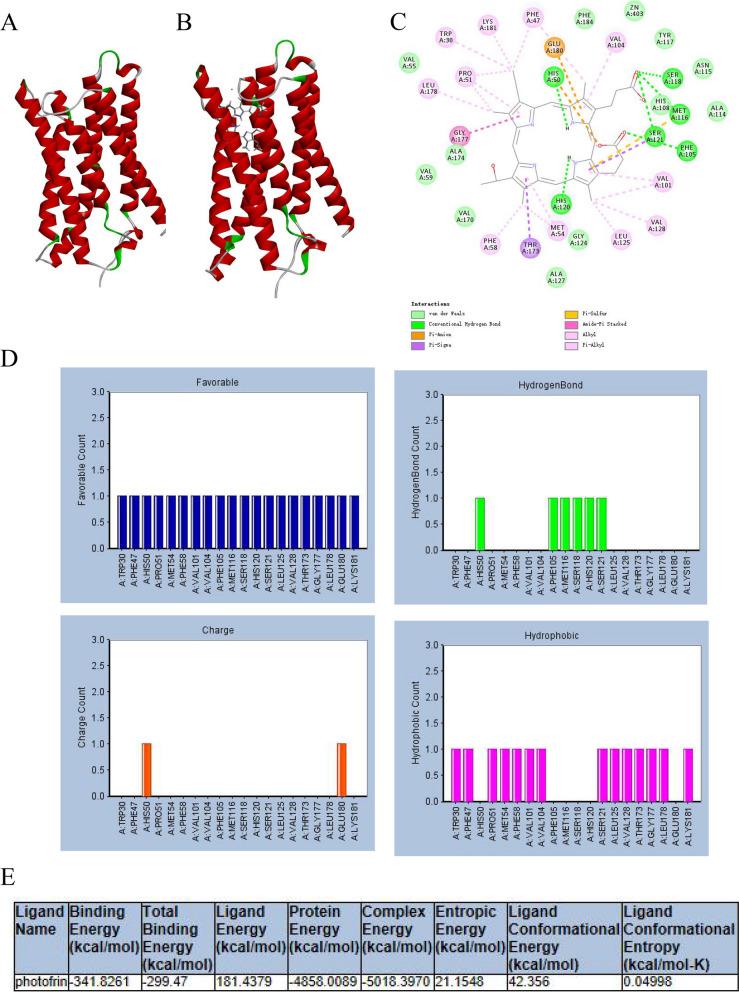 https://cdn.ncbi.nlm.nih.gov/pmc/blobs/1f51/11234624/a8711c1faa01/13048_2024_1461_Fig7_HTML.jpg