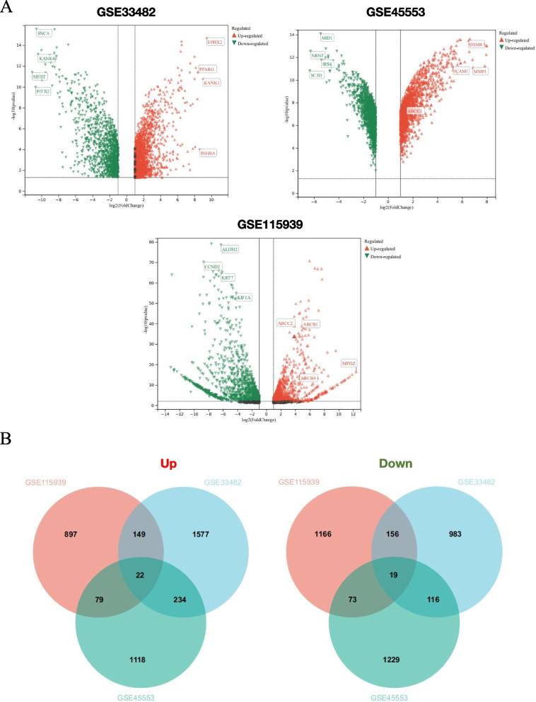 https://cdn.ncbi.nlm.nih.gov/pmc/blobs/1f51/11234624/b48c546fe366/13048_2024_1461_Fig1_HTML.jpg