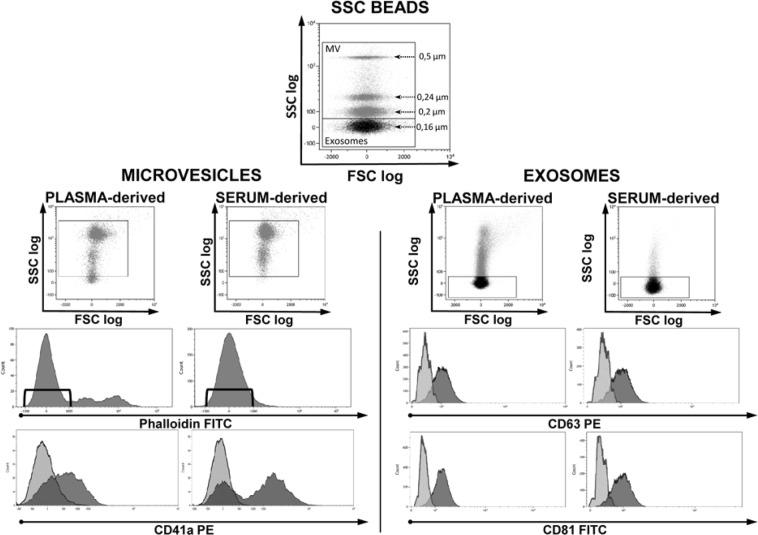 https://cdn.ncbi.nlm.nih.gov/pmc/blobs/1f51/6736982/33e76fd372d6/41598_2019_47598_Fig2_HTML.jpg