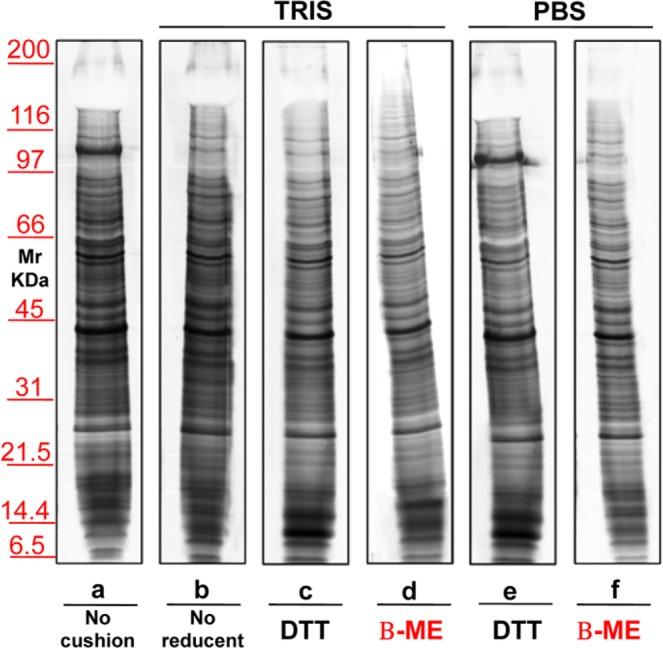 https://cdn.ncbi.nlm.nih.gov/pmc/blobs/1f51/6736982/4c011bcb37f3/41598_2019_47598_Fig7_HTML.jpg