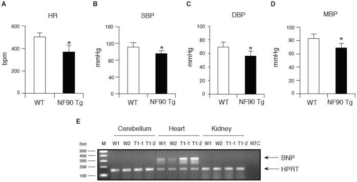 https://cdn.ncbi.nlm.nih.gov/pmc/blobs/1f53/3422296/e19cacbadea4/pone.0043340.g003.jpg